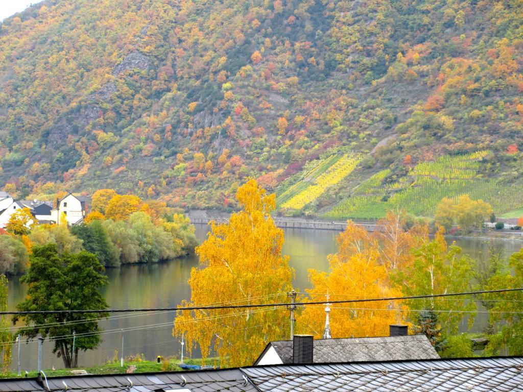 Moselschoen Das Ferienhaus 브로덴바흐 객실 사진